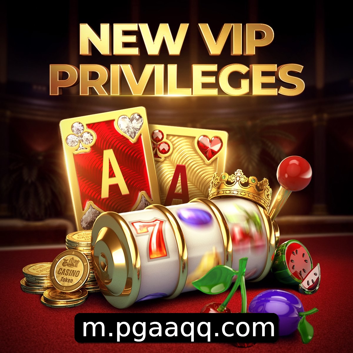 Programa VIP AAQQ